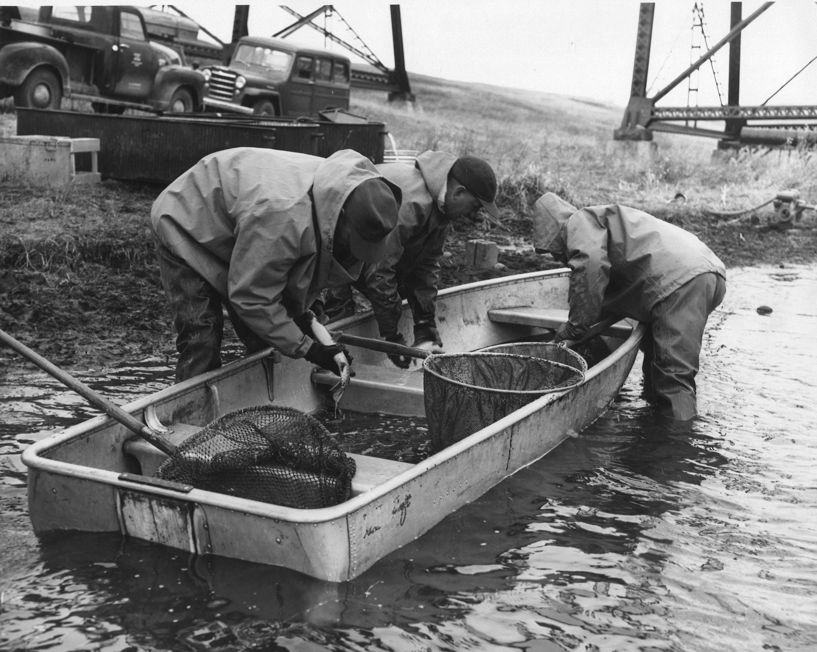 Gäddor under leksäsong – fiskekalender för gädda månad för månad